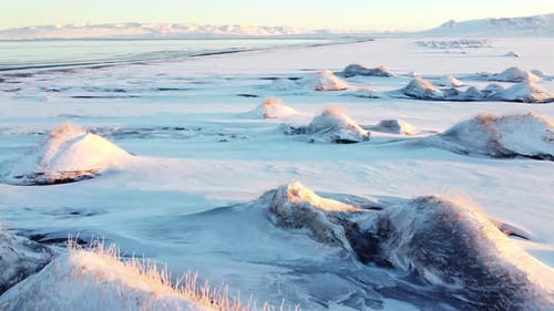 Winter Frozen Landscape