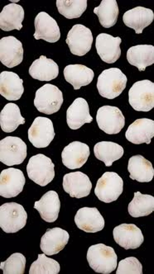 Vertical Falling Garlic on Alpha