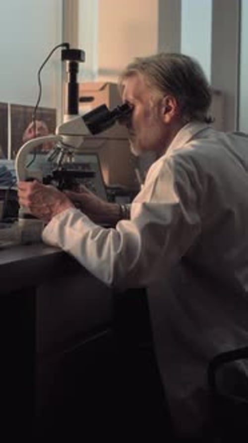 Microbiólogo maduro conduz análise de fósseis sob microscópio e olha para a tela do laptop