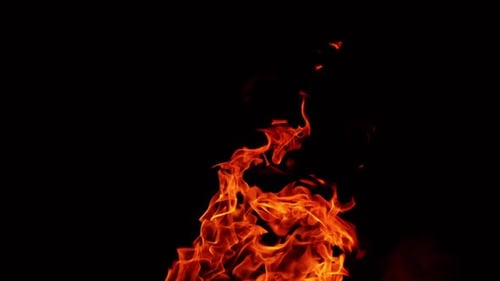 Beautiful burning fire with flames and sparkles flying up. Blaze in the darkness.