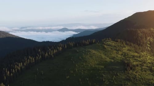 Majestic Carpathian Mountains. Beautiful landscape of untouched nature