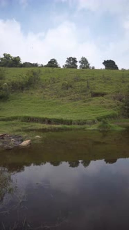 beautiful vertical video portrait natural scenery mountains natural panorama hills, and forest