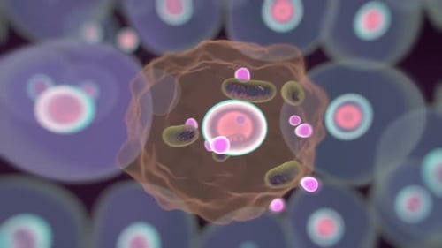 Microscopic view of cells with bacteria and particles in detailed illustration