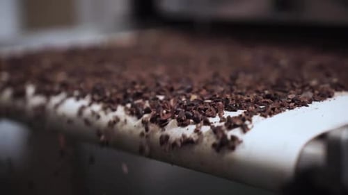 Pedaços de cacau saindo da moagem de frutas secas - de perto