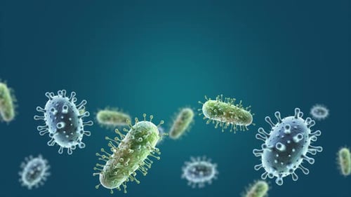 Floating Virus and Bacteria Cells Animation