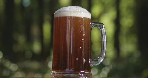 Freshly Brewed Craft Lager Bear with Foam Beer Mug in Summer Nature Sparkling Amber Ale Beer with