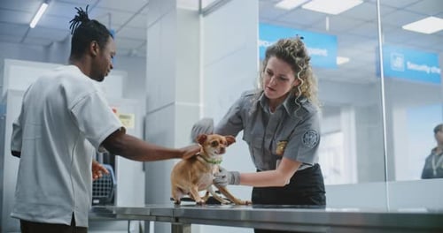 Security Checkpoint in Airport Female TSA Officer Examining Dog with Metal Detector