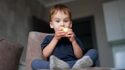 Cute Boy Eats Apple Sitting in Chair