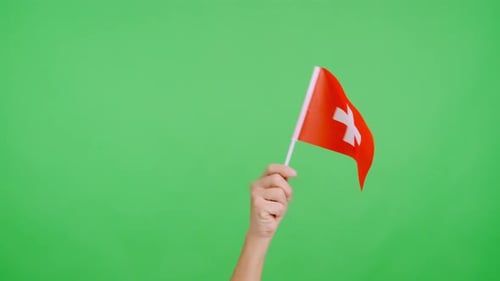Hand Waving Flag on Green Screen