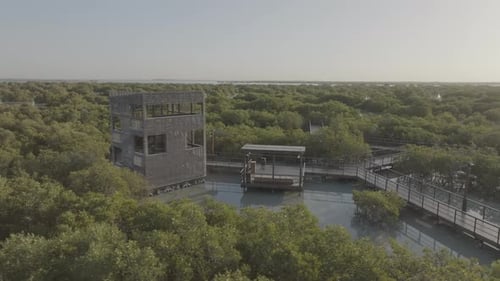 Aerial view of tranquil mangrove forest at Jubail Mangrove, UAE.