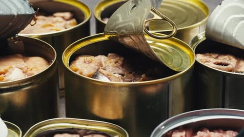 Assortment of Opened Fish Cans