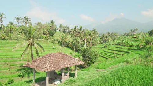 Awesome view of scenic rice terraces in Bali, Indonesia