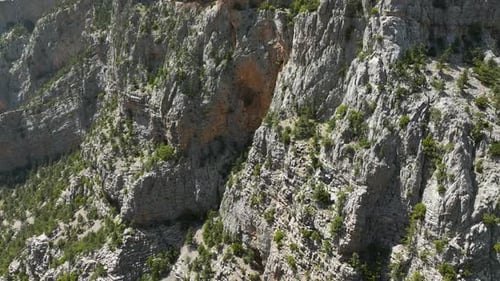 Mountain Serenity Aerial Perspective of Serene Peaks Flourishing Spring Forest and Tranquil Mountain