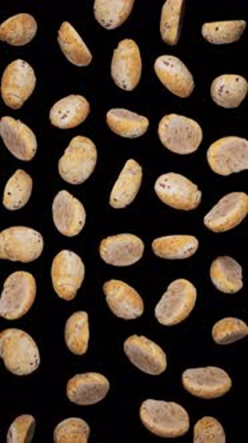 Realistic Falling Coffee Beans Animation