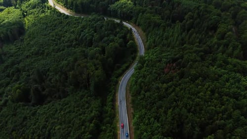 Drone view of winding road in dense green forest.