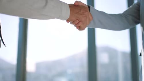 Business Handshake Symbolizes Agreement in Modern Office