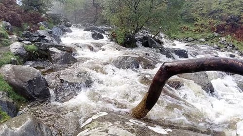 Zeitlupe, kaskadierender fließender Wasserfall, Flusswasser, das sich durch felsiges Waldlaub bewegt.