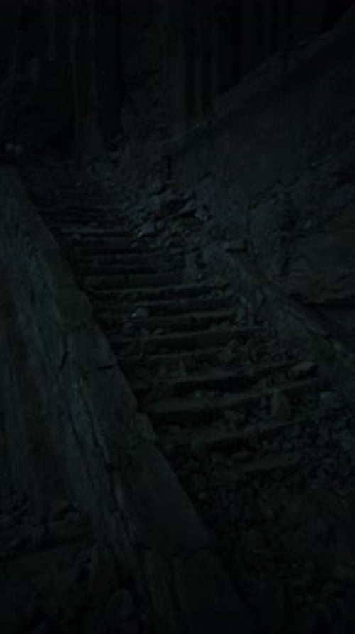 Worn Stone Steps Lead Into the Shadows of a Mysterious Forest Path