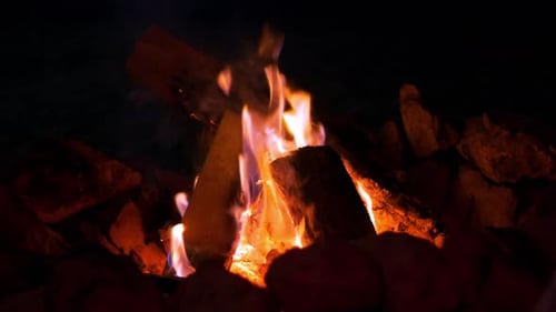 Cam Fire