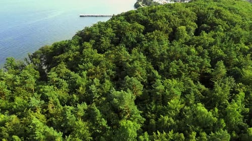 Top view of drone flying above the forest on the cliff with Baltic sea in the background