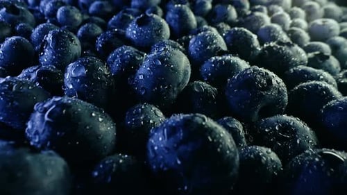 Extreme Macro Blueberries Background Fresh Ripe Summer Organic Berries Harvest
