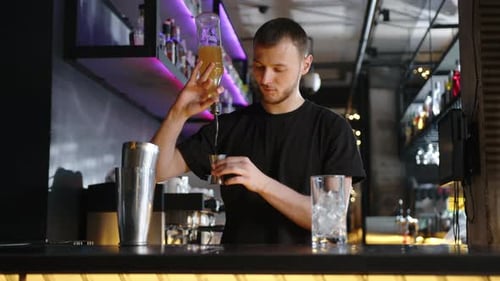 the Bartender Makes an Alcoholic Cocktail in a Shaker at the Bar Counter