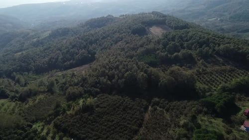 drone flight over forest and mountains. aerial view