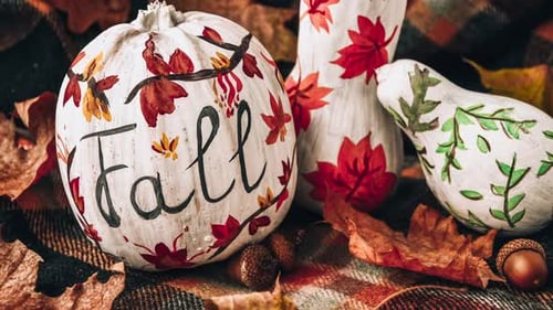 Painted Pumpkins and Gourds for Fall Season