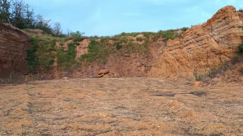 Dog with long hair runs across the steppe, moving gracefully at speed in wild