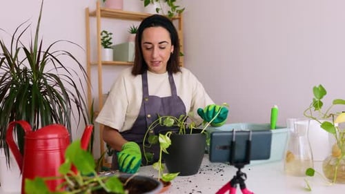 Woman Repots a Houseplant for Online Gardening Vlog