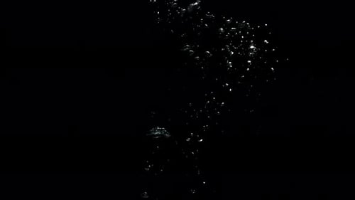 Submerge Collection: Bubbles moving very slowly from the bottom to the top on a black background