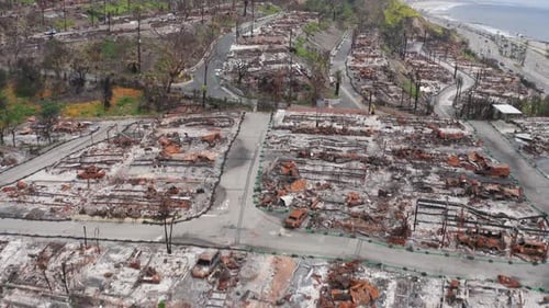 Palisades Fire Damage in Los Angeles, California