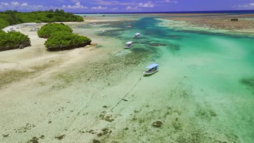 Shallow Tropical Lagoon Crystal Clear Turquoise Water Boat Tours Paradise