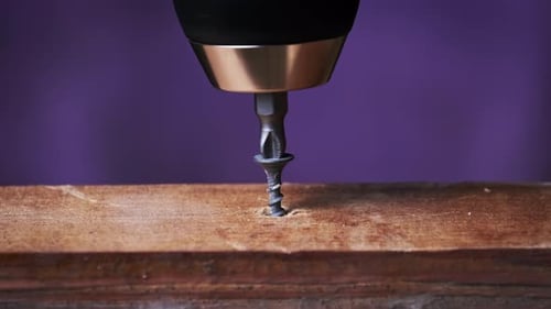 Unscrew Screw From a Wooden Board with a Screwdriver ClosePp