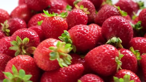 Strawberry on a White Background