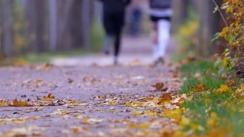 A serene view of a leaf-covered pathway with people walking in the background, showcasing the