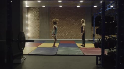 Group of adult women exercising with weights in gym