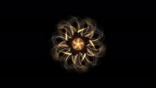 Fondo en movimiento de flores de estrella arcoíris 4k