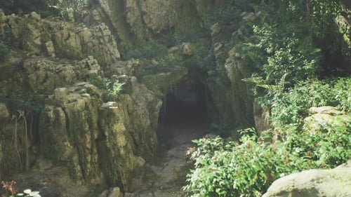 Dark Rocky Cave Silent Mossy Border Surrounds Mysterious Cave Opening