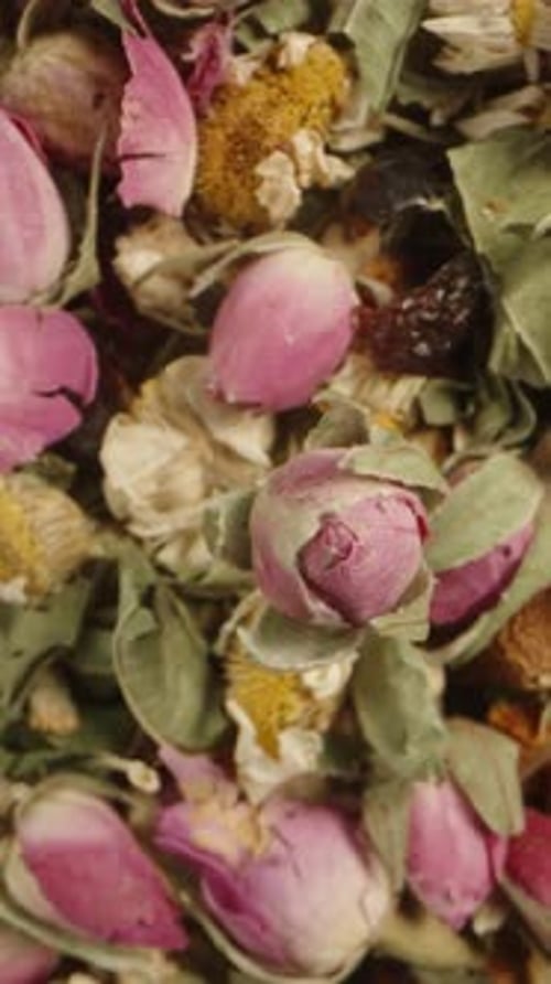 Dried Rosebuds and Flowers Close Up