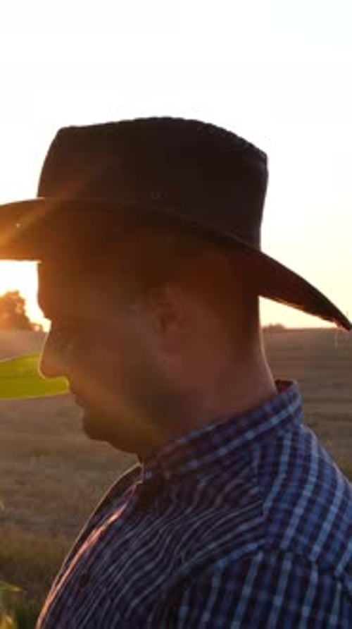 Farmer in Corn Field at Sunrise or Sunset