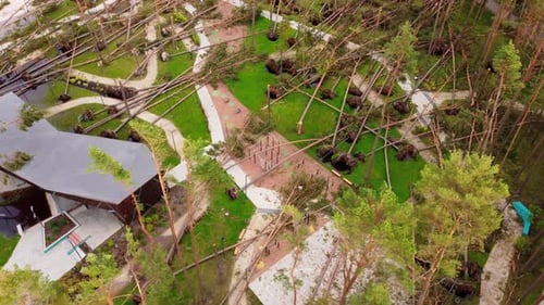 Modern buildings and fallen park trees after powerful storm, aerial view