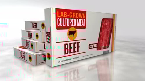 Lab Grown Cultured Meat Beef Product Box Presentation