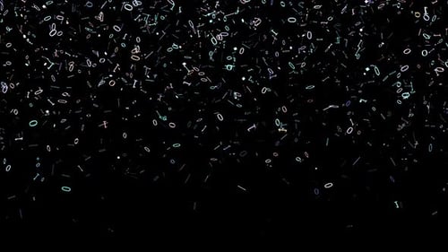 Binary Code Rain