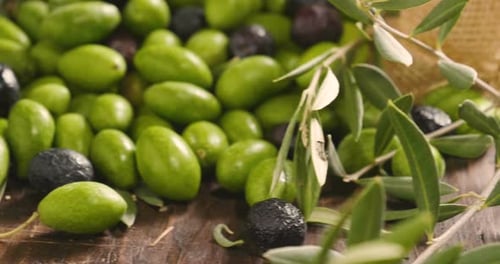 Composition of freshly harvested Italian genuine olives and oil . Concept of: olives, italian food