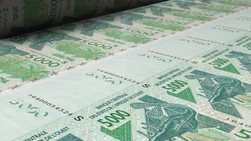 CFA Francs 5000 Banknotes Printing Process Loop