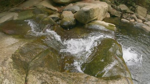 4K Forest Creek Flowing over Waterfall into Mouth of River