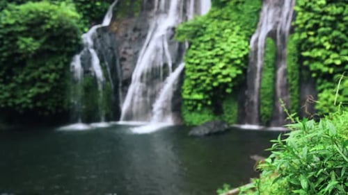 View on Water of Mountain Waterfall Falling in Green Nature of Forest Landscape