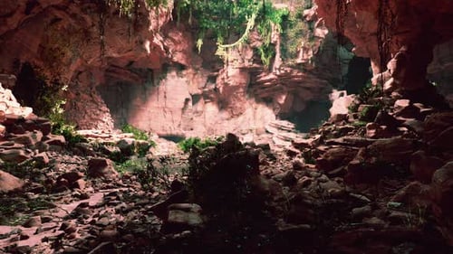 Large Fairy Rocky Cave with Green Plants