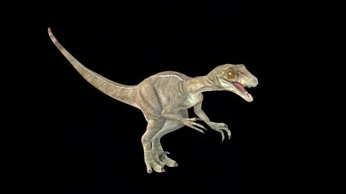 Realistic 3D Animated Raptor Dinosaur Creature Loop